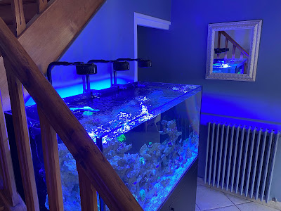 Calvados AQUARIUM à Graye-sur-Mer