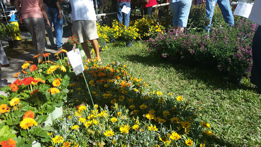 Park «Donnelly Park», reviews and photos, 530 N Donnelly St, Mt Dora, FL 32757, USA