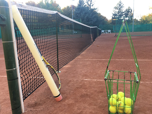Tenisz Terasz - Sportpálya