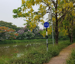 สวนสาธารณะ หนองปึ๋งเชียงราย photo