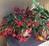 SiteOne Landscape Supply - Photo 2 - Car repair in Santa Barbara, CA, Santa Barbara