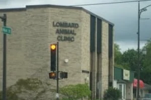 Lombard Animal Clinic, P.C. image