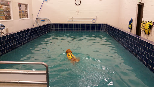 Pet Supply Store «Pet Depot Inc», reviews and photos, 2151 Greenspring Dr, Lutherville-Timonium, MD 21093, USA