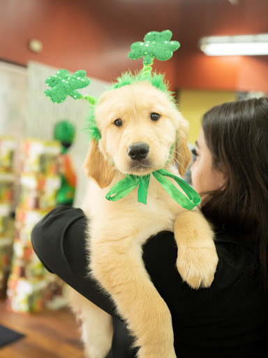 Pet Store «Petland of Plantation», reviews and photos, 801 S University Dr, Plantation, FL 33324, USA