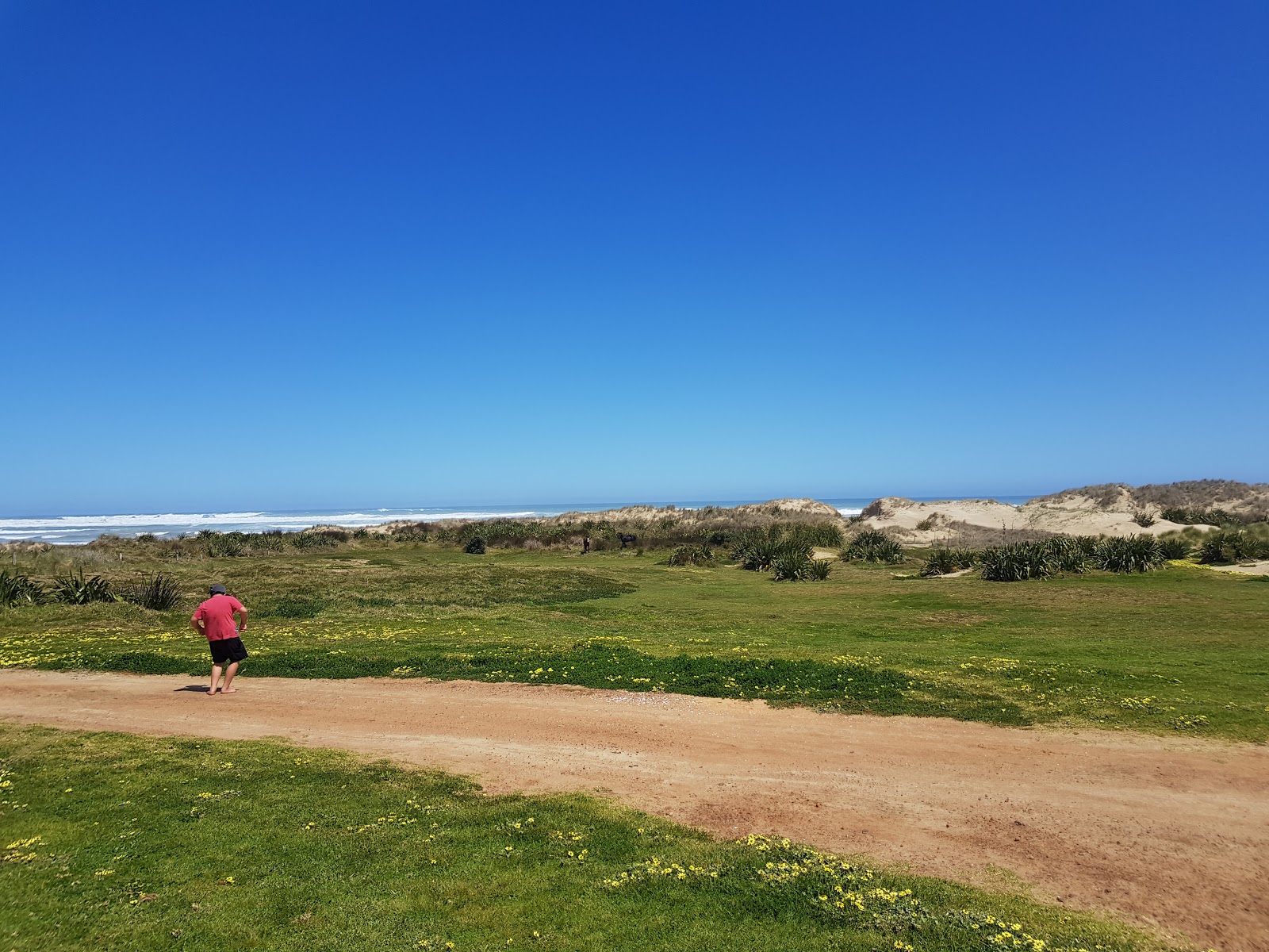 Zdjęcie Maunganui Bluff Beach położony w naturalnym obszarze