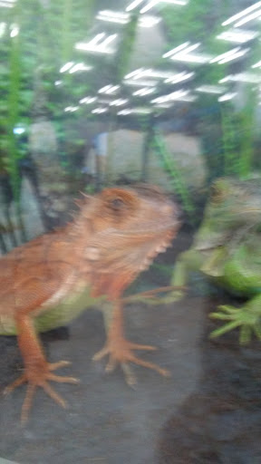 Pet Supply Store «Petco Animal Supplies», reviews and photos, 597 Hebron Rd #2, Heath, OH 43056, USA