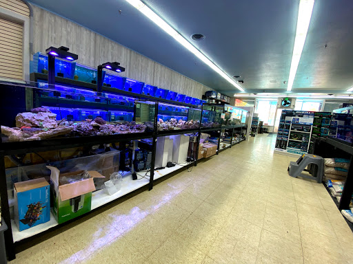 Tropical Fish Store «Lovely Pets Aquarium Store», reviews and photos, 69 Parkingway, Quincy, MA 02169, USA