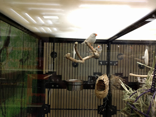 Pet Supply Store «PetSmart», reviews and photos, 144 Retail Commons Pkwy, Martinsburg, WV 25403, USA