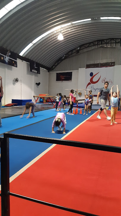 Amez Gymnastics - C. Valle de Lerma 111, Enrique Colunga, 38067 Celaya, Gto., Mexico