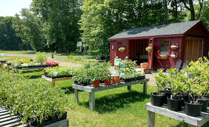 East Meadow Farm and Orchard