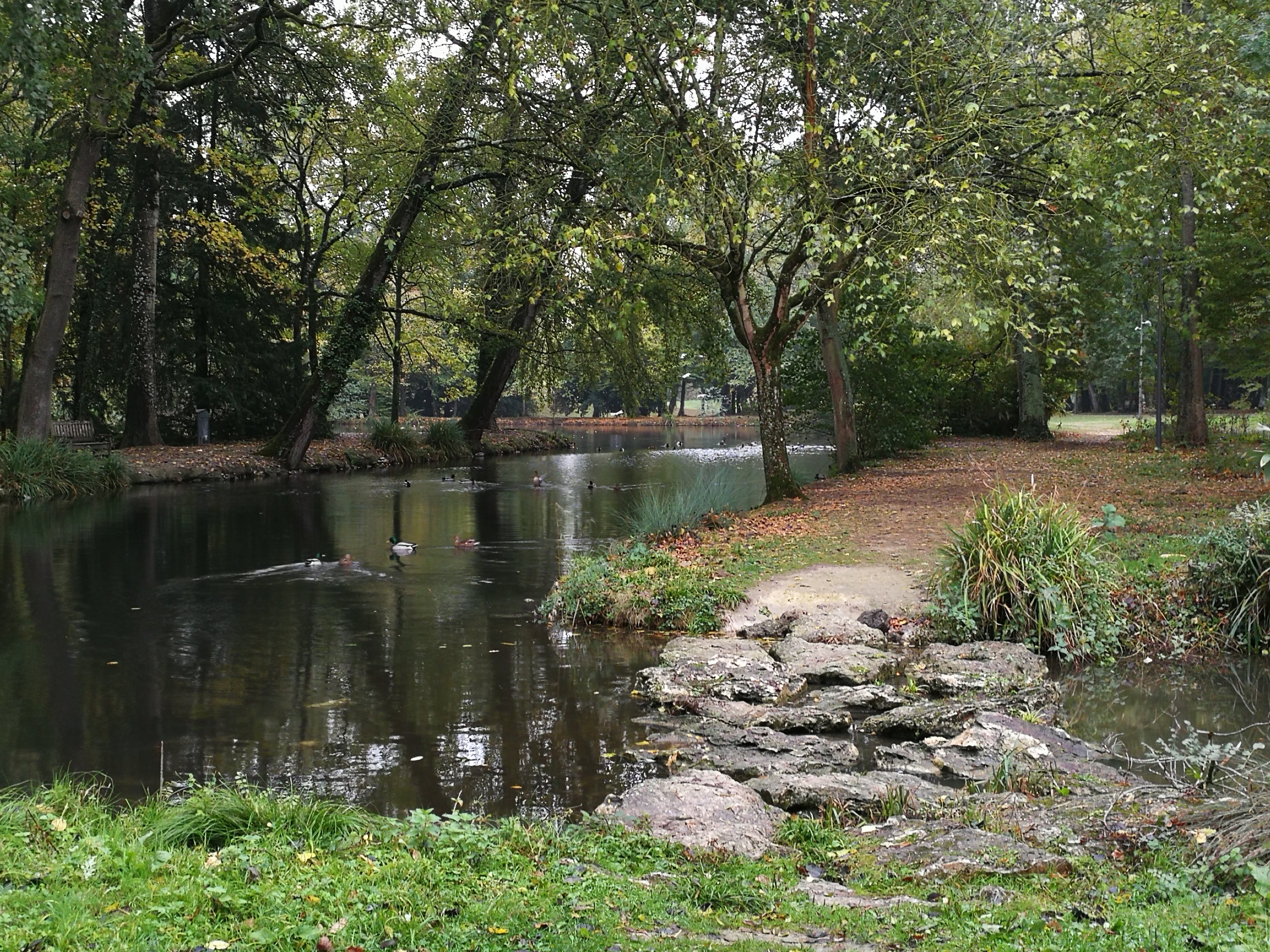 Photo n° 5 de l'avis de Francoise.o fait le 30/08/2018 à 14:33