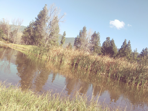 Glen Helen Regional Park image