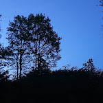 Photo n° 1 de l'avis de Noemie.o fait le 26/09/2023 à 21:55 pour Parenthèse - Tiny house à Chambon-la-Forêt