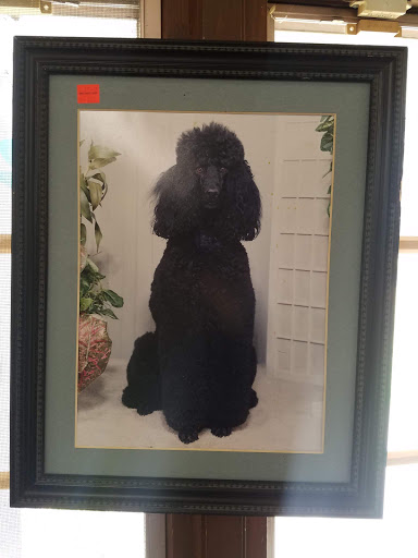 Thrift Store «Medical Missions Thrift Shop», reviews and photos, 8400 Pine Rd, Philadelphia, PA 19111, USA