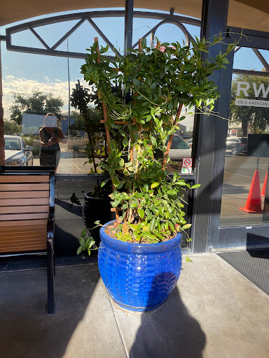 Restaurant «Red White and Brew», reviews and photos, 6740 E McDowell Rd #102, Mesa, AZ 85215, USA