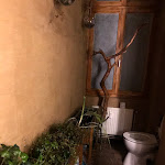 Photo n°15 de l'avis de mike.e fait le 02/03/2020 à 05:53 sur le  Restaurant Auszeit à Berlin