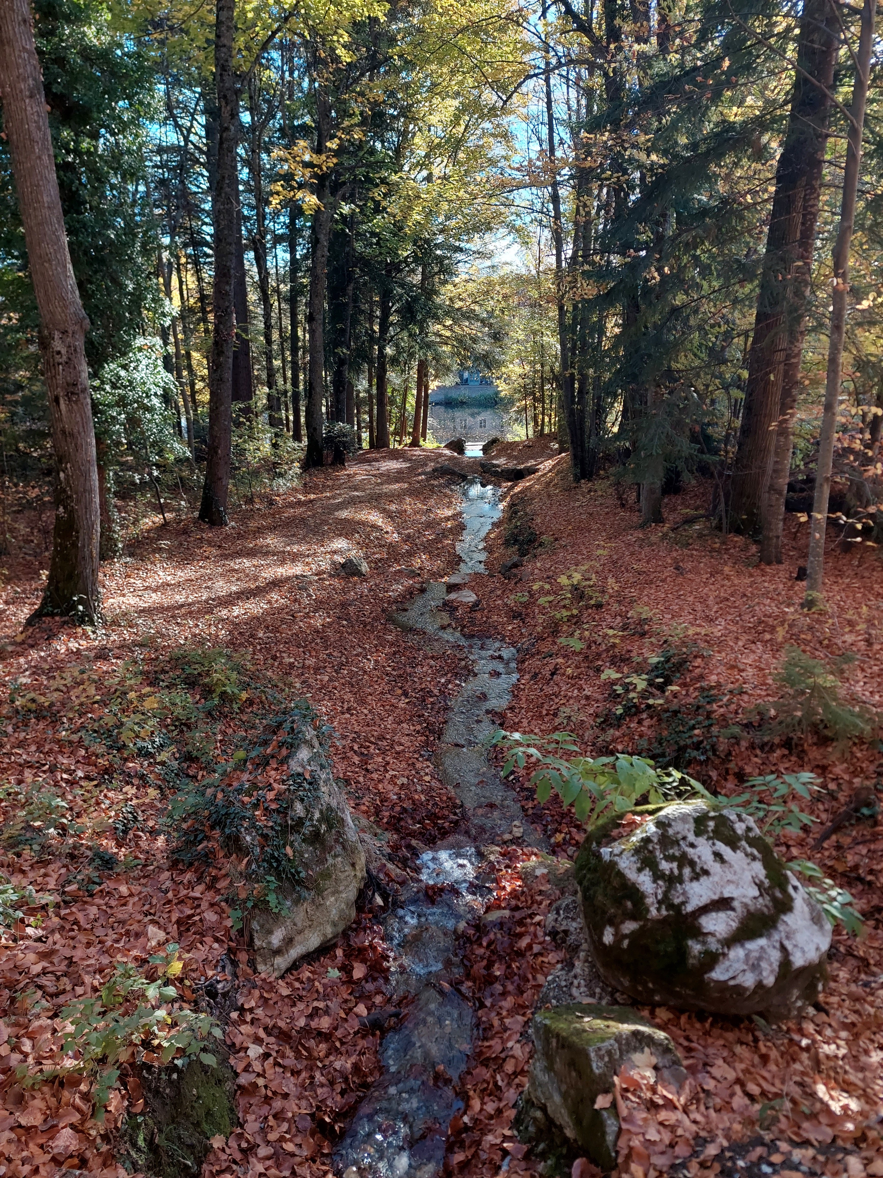 Photo n° 9 de l'avis de Didier.a fait le 18/11/2022 à 16:48