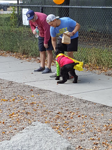 Dog Park «South Boston Bark Park», reviews and photos, 1280 Columbia Rd, Boston, MA 02127, USA