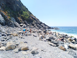 Vernazza Plajı'in fotoğrafı küçük koy ile birlikte