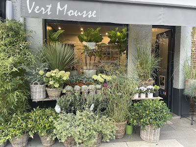 Vert Mousse à Lambersart