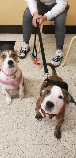 Pet Supply Store «PetSmart», reviews and photos, 50 International Dr S, Flanders, NJ 07836, USA