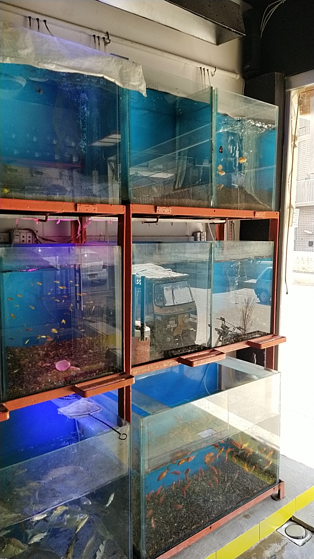 All World Aquarium Hyderabad