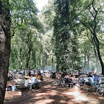 Photo n°10 de l'avis de Anna.a fait le 16/08/2022 à 11:49 sur le  Il Bosco di Paliano à Paliano