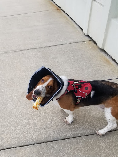 Pet Supply Store «PetPeople», reviews and photos, 3330 Washtenaw Ave, Ann Arbor, MI 48104, USA