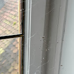 Photo n°14 de l'avis de Abdulmajeed.l fait le 22/11/2023 à 16:06 sur le  Trip Inn Hotel Der Adelshof à Schwäbisch Hall