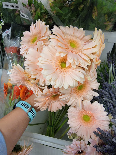 Florist «Botanica Wholesale Florist», reviews and photos, 3208 International Pl, Irving, TX 75062, USA