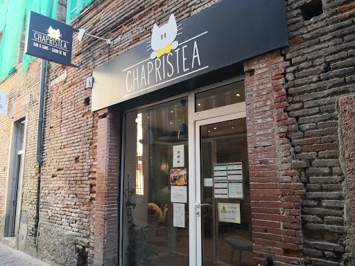 Cat cafe in Toulouse