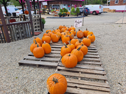 Florist «Dynamic Flowers of Royal Oak», reviews and photos, 3221 N Main St, Royal Oak, MI 48073, USA