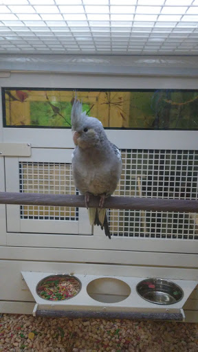 Pet Supply Store «PetSmart», reviews and photos, 825 Pilgrim Way, Green Bay, WI 54304, USA