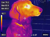 Safe Travels RV Services Co - Photo 8 - Car repair in Ventura, CA, San Buenaventura