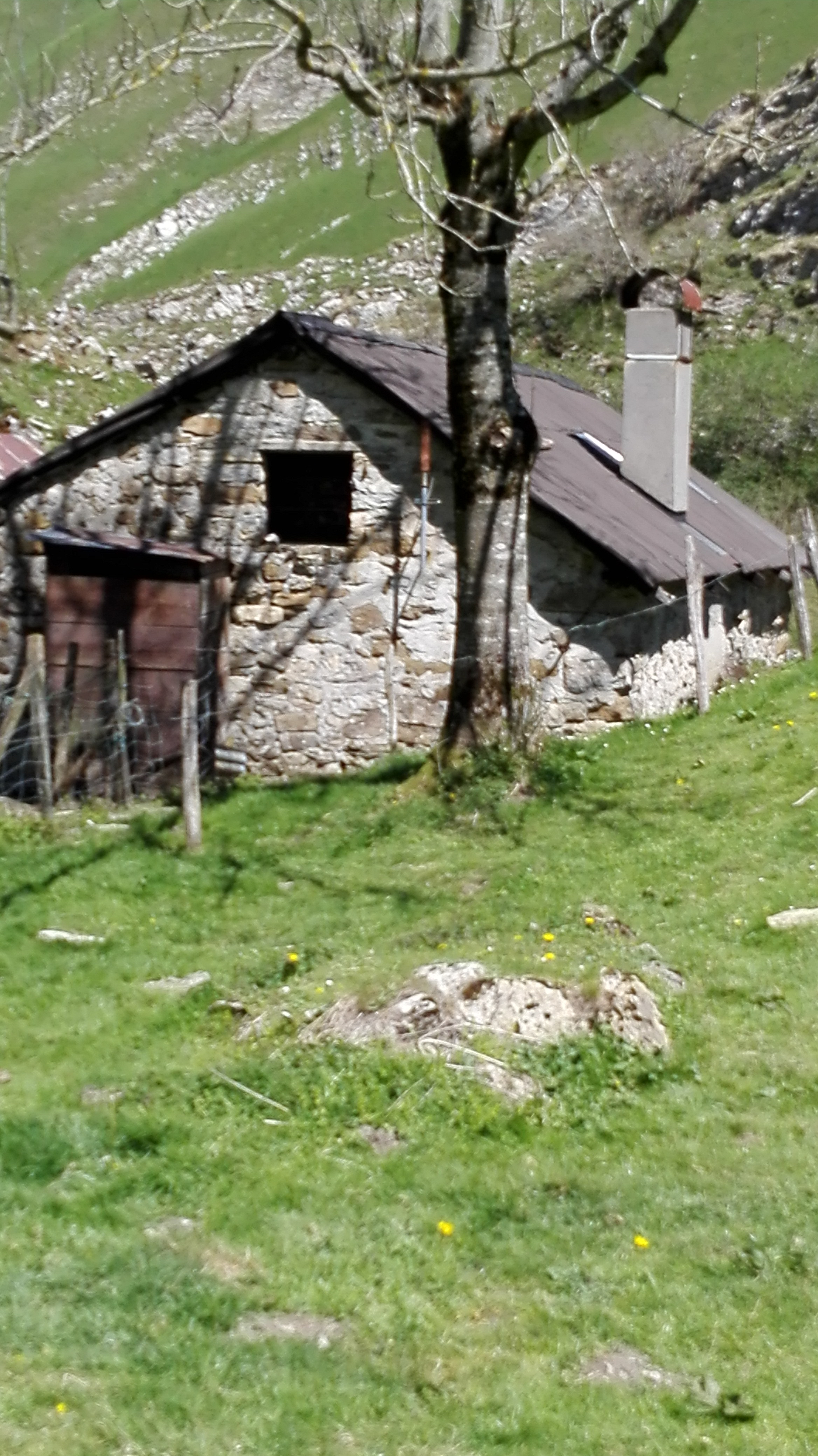 Photo n° 1 de l'avis de Carlos.e fait le 20/04/2017 à 21:58