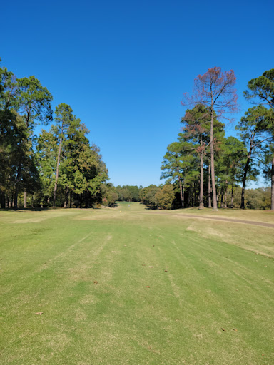 Golf Club «Holly Lake Ranch Golf Club», reviews and photos, 210 Golf Drive, Holly Lake Ranch, TX 75765, USA