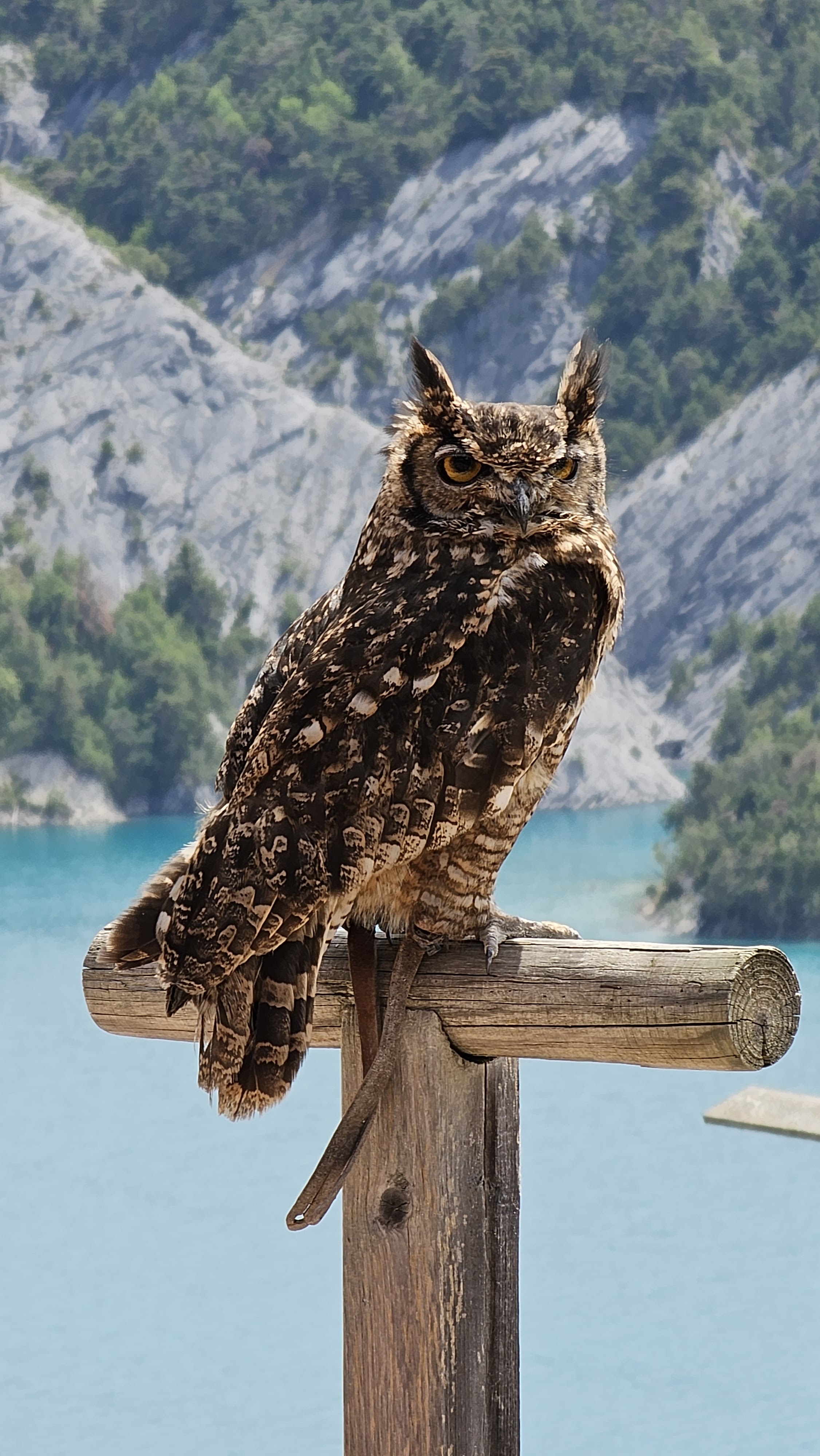 Photo n° 3 de l'avis de Emoli. fait le 31/07/2023 à 14:47