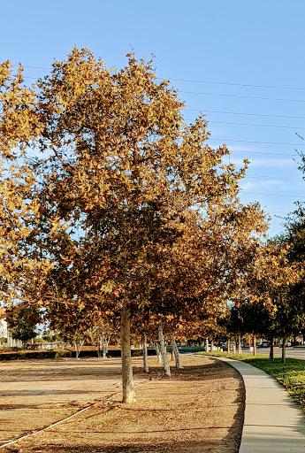 Park «Oak Creek Community Park», reviews and photos, 15616 Valley Oak Dr, Irvine, CA 92618, USA