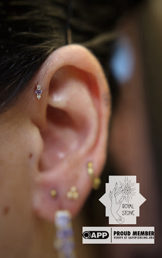 Explore dinosaur tattoo ideas for son, creative tattoo ideas in Mobile, available at Royal Stone Piercing