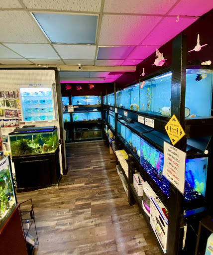 Pet Supply Store «Lacey Pet Supply», reviews and photos, 441 Lacey Rd, Forked River, NJ 08731, USA