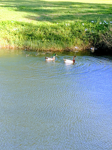 Park «Jennifer McFalls Park», reviews and photos, 1501 S Carrier Pkwy, Grand Prairie, TX 75051, USA