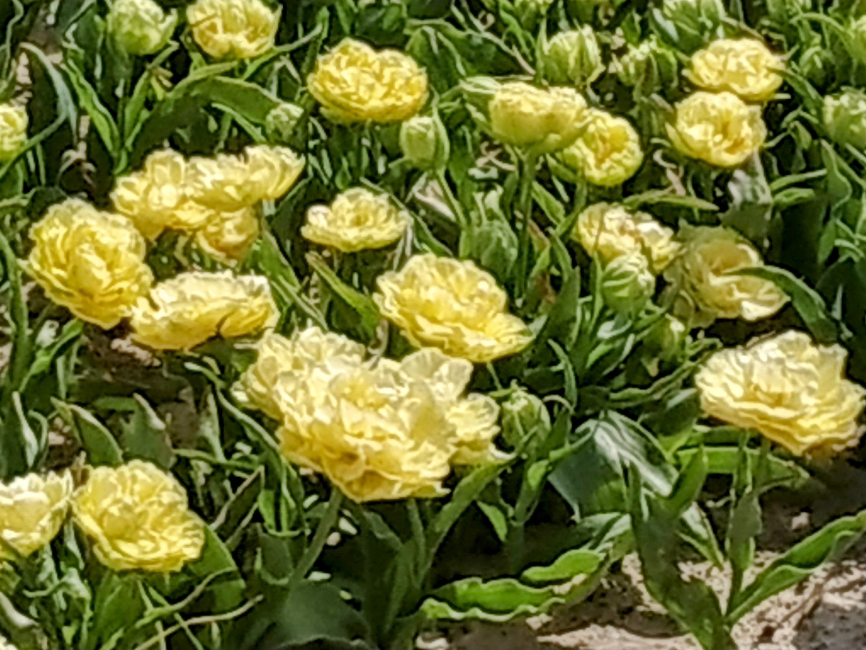 Photo n° 32 de l'avis de The.a fait le 05/04/2023 à 21:57