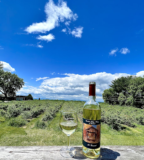Winery «Charlotte Village Winery», reviews and photos, 3968 Greenbush Rd, Charlotte, VT 05445, USA