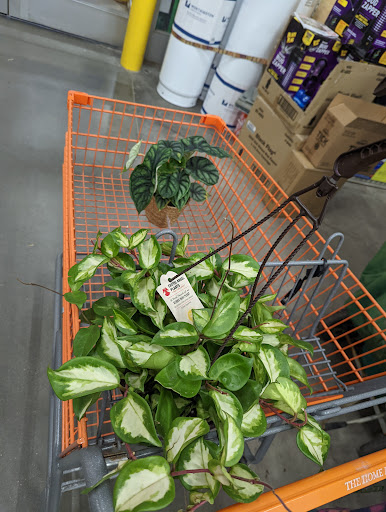 Home Improvement Store «The Home Depot», reviews and photos, 160 Laconia Rd, Tilton, NH 03276, USA