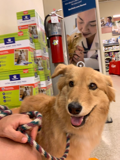 Animal House Total Pet Care