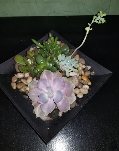 Florist «Myers Florist/Emerald Gardens Flowers», reviews and photos, 2906 Hillsborough Rd, Durham, NC 27705, USA