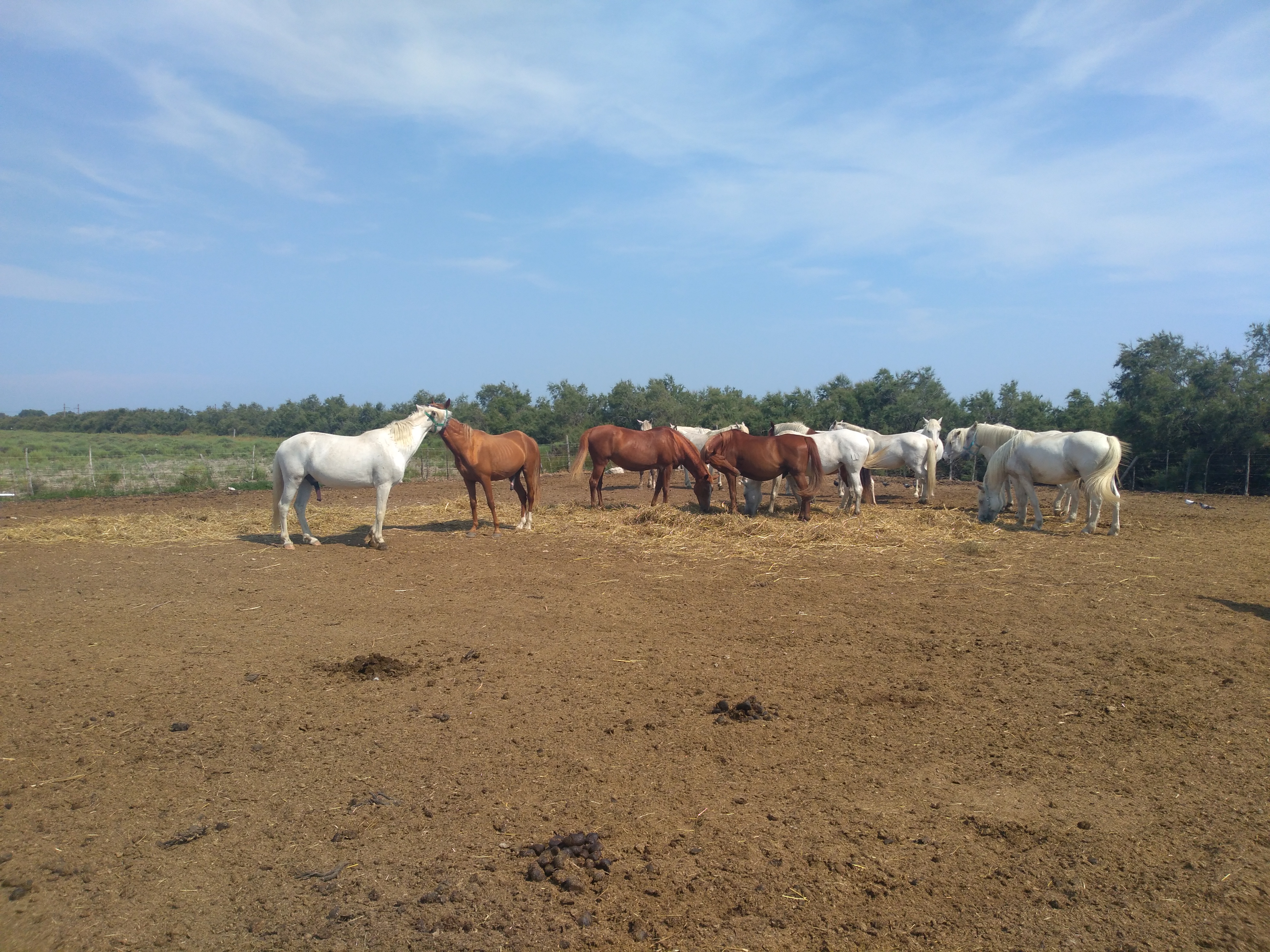 Photo n° 1 de l'avis de candice.h fait le 29/07/2018 à 20:15