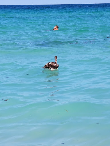 Park «Lummus Park», reviews and photos, Ocean Dr, Miami Beach, FL 33139, USA