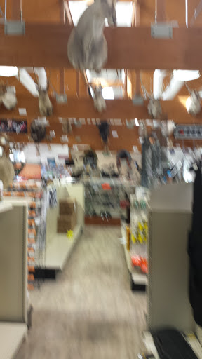 Sporting Goods Store «Mosquito Creek Outfitters», reviews and photos, 3000 Mosquito Rd, Placerville, CA 95667, USA