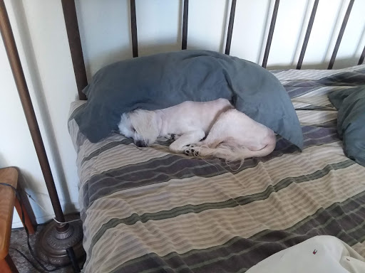 Gym «LA Fitness», reviews and photos, 1275 Foothill Blvd, La Verne, CA 91750, USA